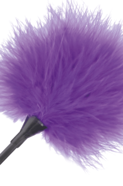 plumeau-violet-2